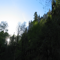 Neuschwanstein  Picture 126.jpg